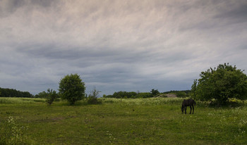 Rural landscape / ***