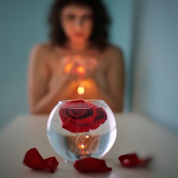 Rose / ***