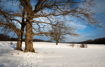 &nbsp; / 33333333333333333333