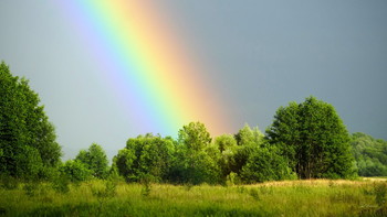 After the rain / ***