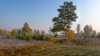 The first frosts / ***