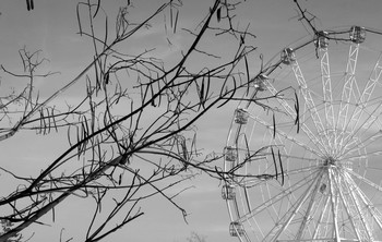 Wheel / ***