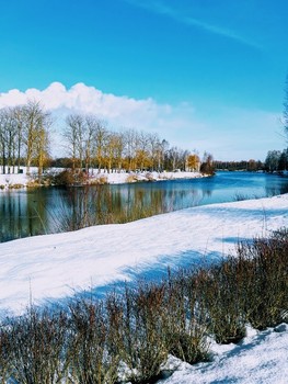 Winter on the lake / ***