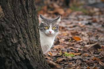 und hier bin ich! / ***