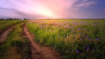 Auf dem Weg ... / ***