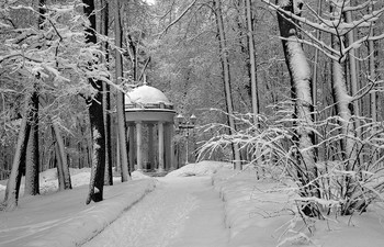 In Winter Park / ***