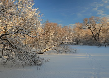 winter / ***