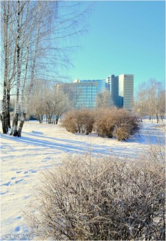 In Winter Park / ***