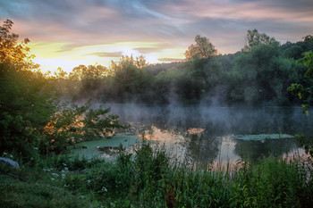 July morning / ***