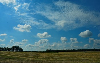Wolken / ***