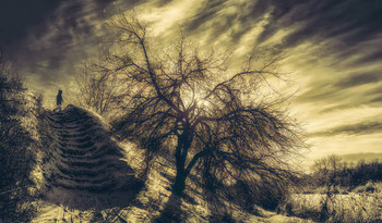once in the winter ... / http://www.youtube.com/watch?v=8pPvNqOb6RA