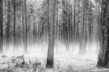 Der Geruch des Herbstes / ***