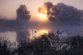 Cold morning / ...