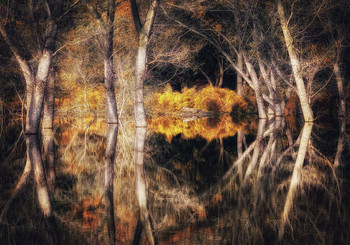 &nbsp; / http://www.youtube.com/watch?v=dkTTHx9S83E