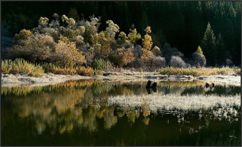 In October... / .....