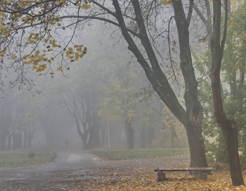 about autumn / ***