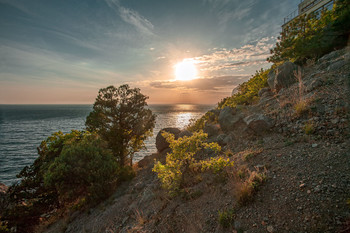 Sunset / ***