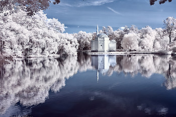  / infrared photo