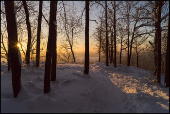 Morgen in den Wald / ***