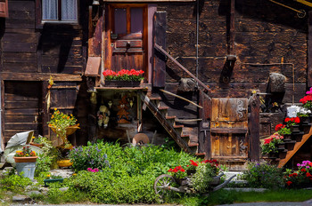 Front door / ***