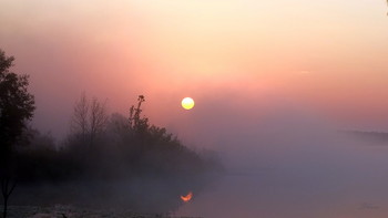 Autumn morning. / ***