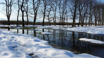 Thaw / ***