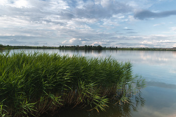 Lake / ***
