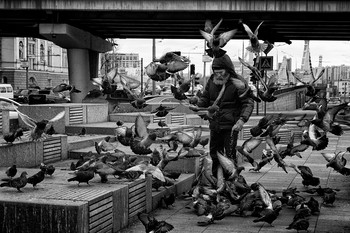 &nbsp; / [img]https://i.postimg.cc/JnTz4r9h/DSC04901.jpg[/img]