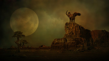 Moonlight / ***
