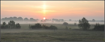 Morning / ***