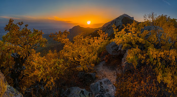 place in the sun / ***