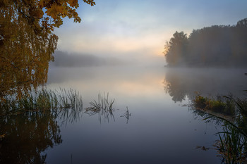 Herbstmorgen. / ***