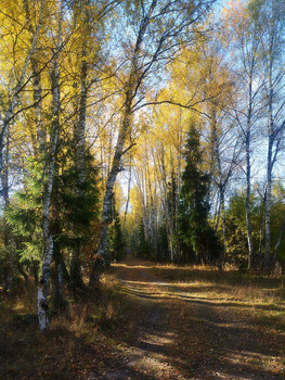 autumn / 2018