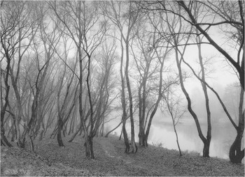 Ghostly all / ***