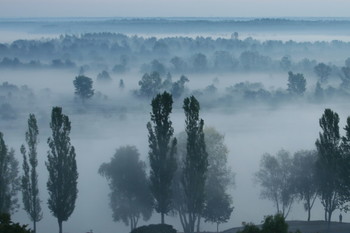 Ghostly all / ***