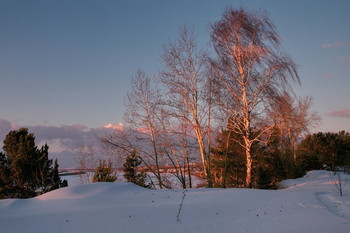 Bei Sonnenuntergang / ***