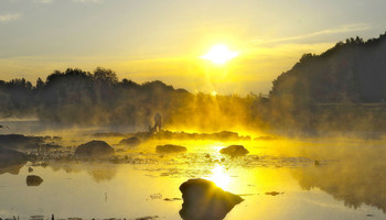 Sonniger Morgen / ***