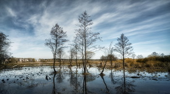 Hohe Wasser / ***