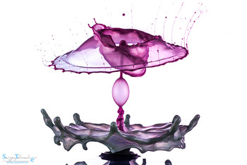 bubble / ***