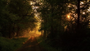 Um die Sonne entgegen / ***