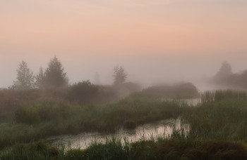 misty morning / -------------
