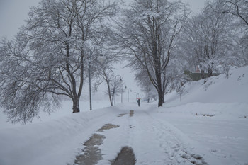 Snowfall ... / ***