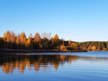 Herbst / ***