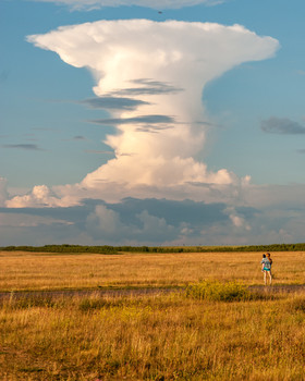Cloud / ***