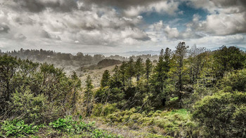 Landscape with hills / ***