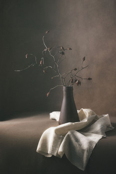 Dried flowers / ***