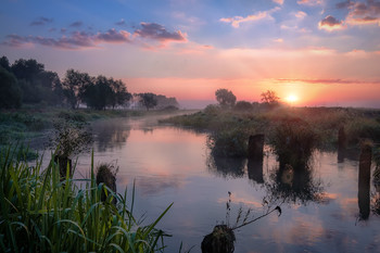 The end of the summer / ***