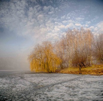 Winter fog / ***