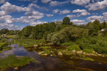 this summer ... / ***