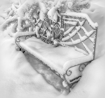 Bench / ***